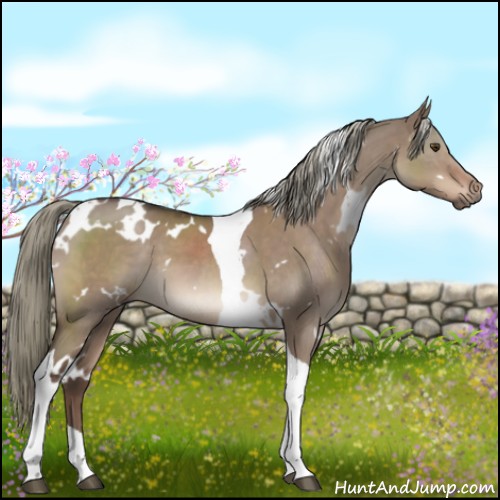 Horse Color:White Spotted Liver Red Dun Mushroom Tobiano 