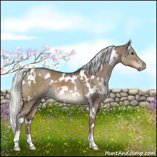 Horse Color:White Spotted Liver Red Dun Mushroom 