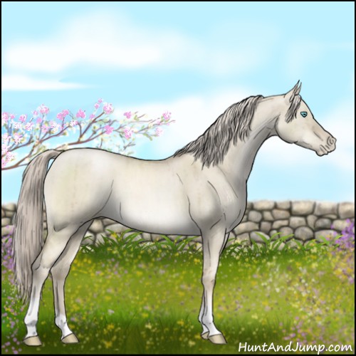 Horse Color:Chocolate Palomino Pearl Dun Mushroom Brindle 