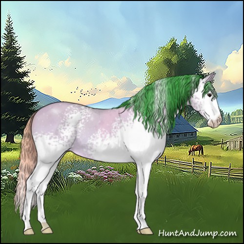 Horse Color:Watercolor White Spotted Bay Dun 