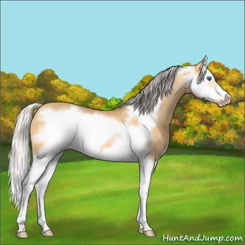 Horse Color:Silver Sable Cream Champagne Dun Splash Frame