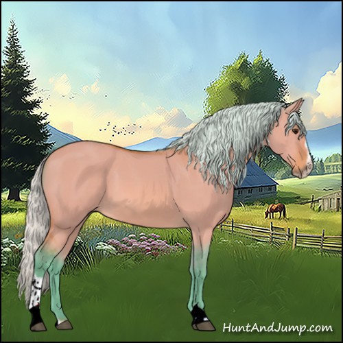 Horse Color:Watercolor Silver Bay Dun Sabino