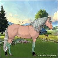 Horse Color:Watercolor Silver Bay Dun Sabino 