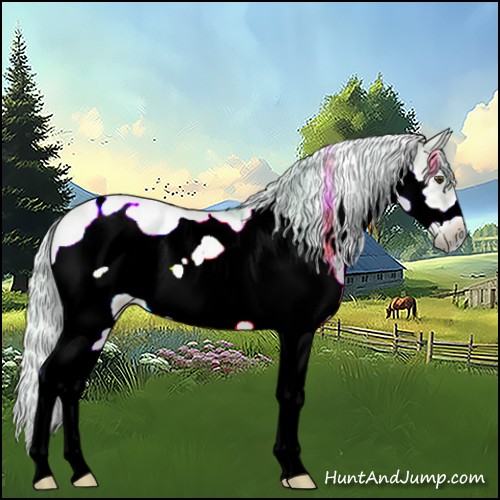 Horse Color:Watercolor Palomino Dun Sabino Frame