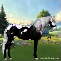 Horse Color:Watercolor Palomino Dun Sabino Frame 