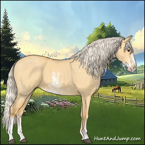 Horse Color:Palomino Dun Sabino 
