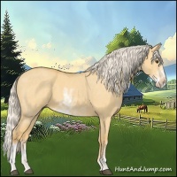 Horse Color:Palomino Dun Sabino 