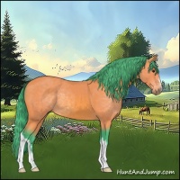 Horse Color:Watercolor Buckskin 