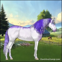Horse Color:Watercolor White Spotted Bay Dun Splash Frame 