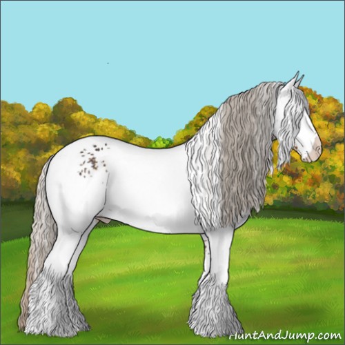 Horse Color:White Spotted Silver Smoky Black