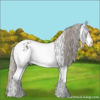Horse Color:White Spotted Silver Smoky Black 