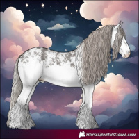 Horse Color:White Spotted Silver Black Rabicano