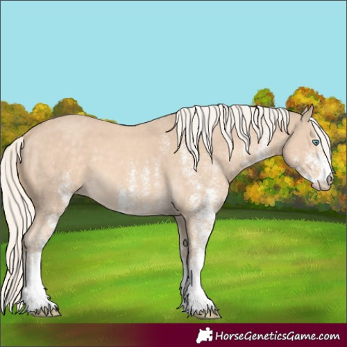 Horse Color:White Spotted Cremello