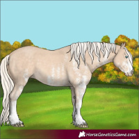 Horse Color:White Spotted Cremello 