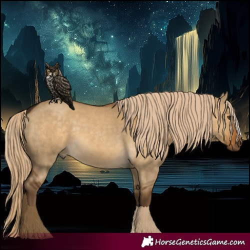 Horse Color:Chocolate Palomino Dun 