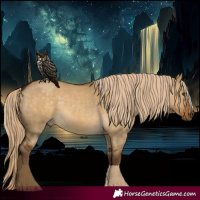 Horse Color:Chocolate Palomino Dun 