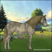 Horse Color:Watercolor Red Dun Ice 