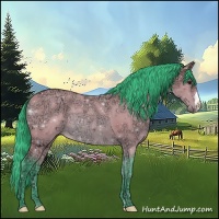Horse Color:Watercolor Bay Ice 