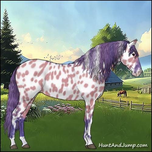 Horse Color:Watercolor Grullo Appaloosa 