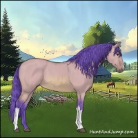 Horse Color:Watercolor Bay Dun 