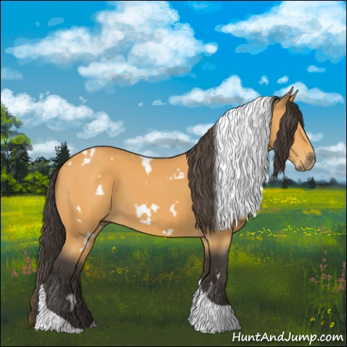 Horse Color:White Spotted Buckskin Tobiano 