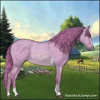 Horse Color:Watercolor Red Dun Sabino Tobiano 