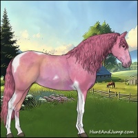 Horse Color:Watercolor Chestnut Tobiano 