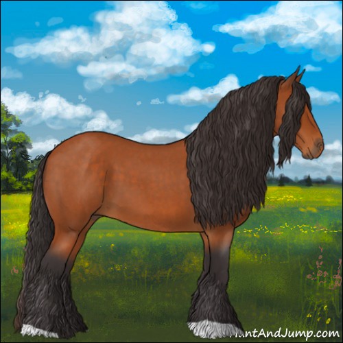 Horse Color:Buckskin Roan 