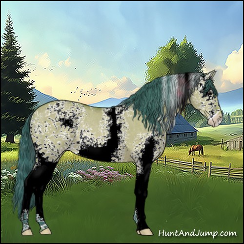 Horse Color:Watercolor White Spotted Bay Dun Sabino Rabicano