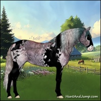 Horse Color:Watercolor Bay Ice Dun Splash Tobiano
