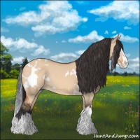 Horse Color:White Spotted Bay Dun Splash Rabicano 