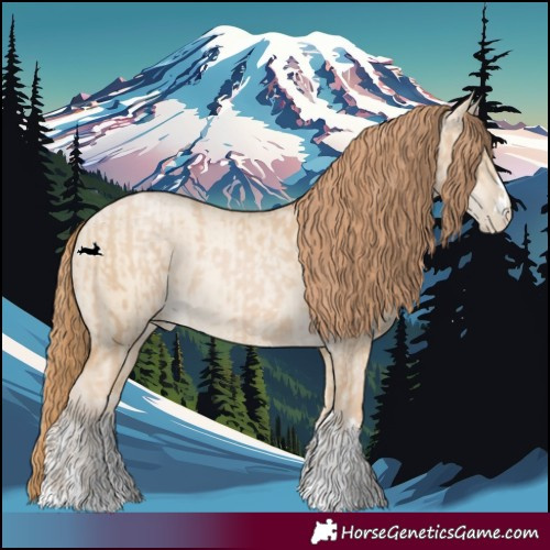 Horse Color:Smoky Black Pearl and Smoky Grullo Pearl