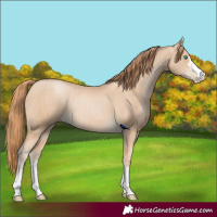 Horse Color:Smoky Black Pearl and Smoky Black Pearl Rabicano