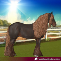 Horse Color:Liver Chestnut  and Liver Chestnut Rabicano 