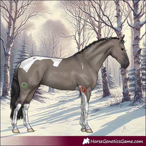 Horse Color:Grullo Tobiano 