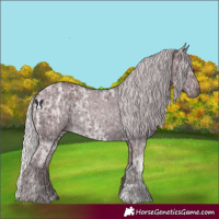 Horse Color:Chocolate Silver Black Chinchilla Ice 