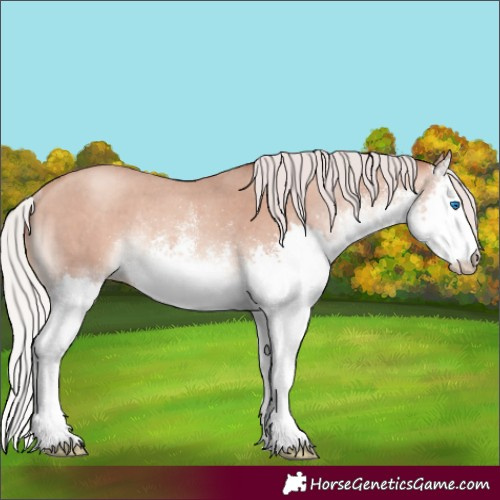 Horse Color:White Spotted Silver Sable Champagne Splash Rabicano 