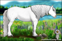 Horse Color:Silver Black Appaloosa 