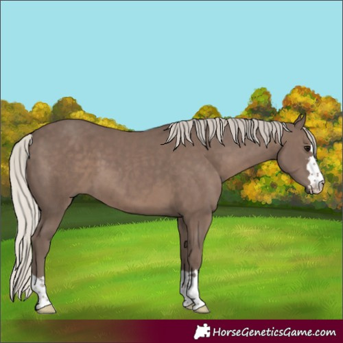 Horse Color:Silver Black 
