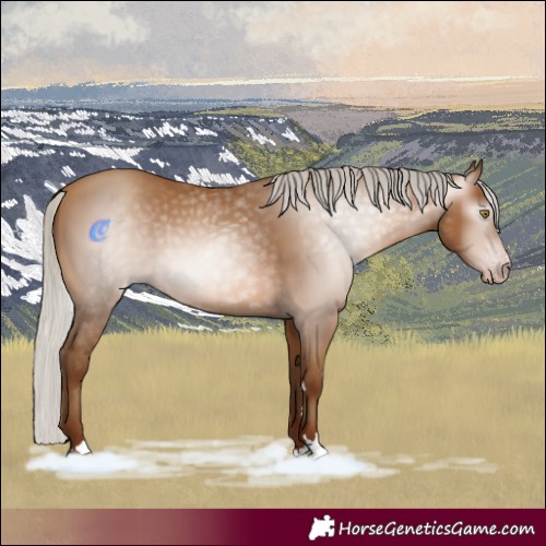 Horse Color:Gray Silver Sable Champagne Rabicano