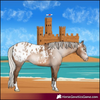 Horse Color:Gray Silver Sable Champagne Appaloosa 
