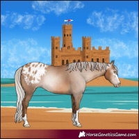 Horse Color:Gray Silver Sable Champagne Blanket 