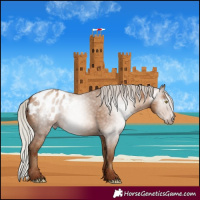 Horse Color:Gray Silver Amber Champagne Appaloosa 