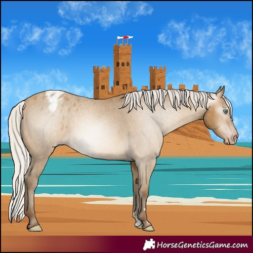 Horse Color:Gray Silver Sable Cream Champagne Appaloosa 