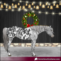 Horse Color:Black Appaloosa  and Black Appaloosa 