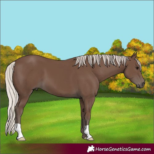 Horse Color:Silver Black