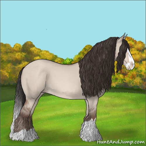 Horse Color:Sable Champagne Dun Splash 