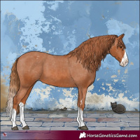 Horse Color:Chestnut Splash Varnish 