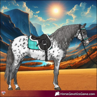 Horse Color:Black Near Leopard 