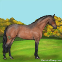 Horse Color:Bay Roan 